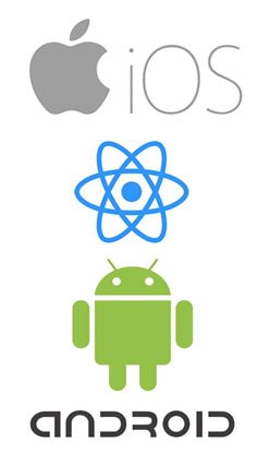mobile app development image