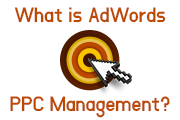 What is AdWords PPC Management